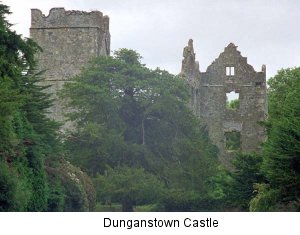 Dunganstown Castle ((c) 1999 Anthony Houghton)