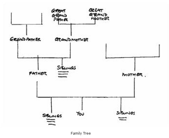 Family Tree