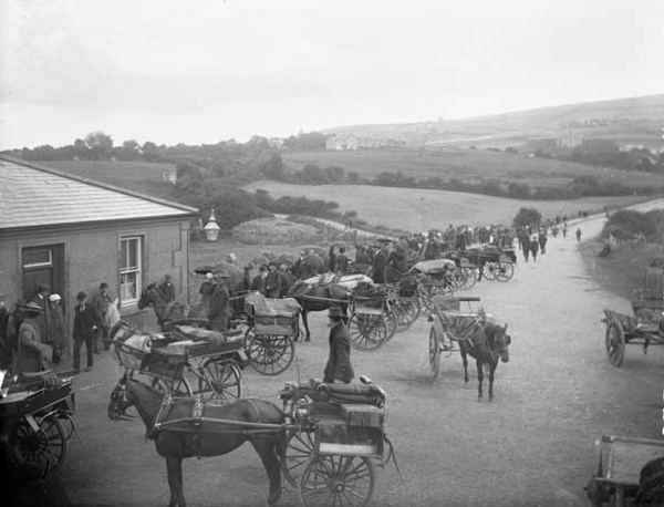 Wicklow Station