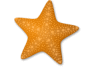 Captcha image 7084